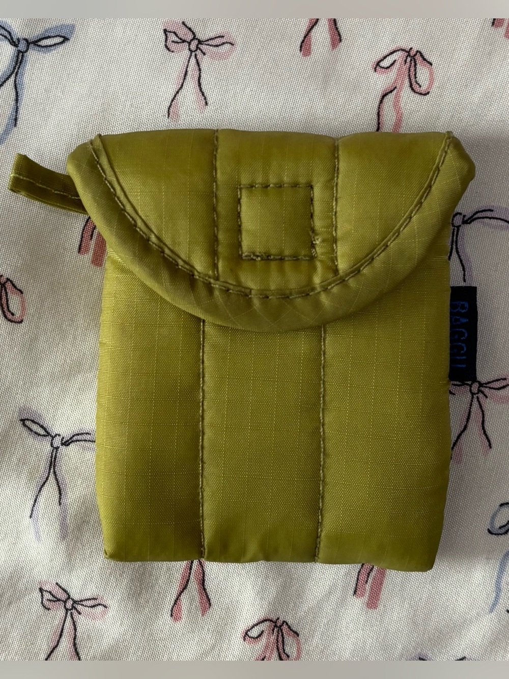 Baggu Pistachio earbud case